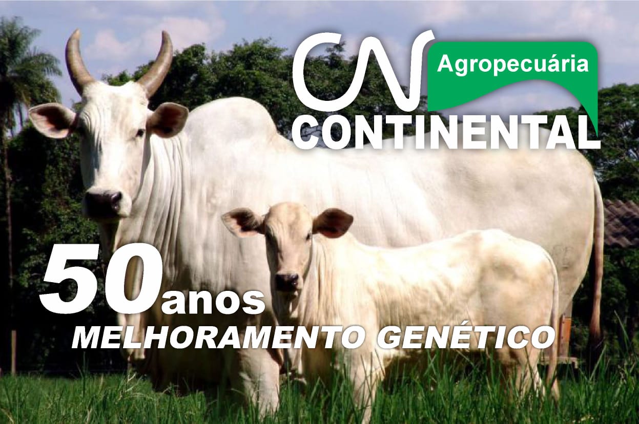 Continental AgropecuÃ¡ria realiza quarta ediÃ§Ã£o do seu remate exclusivo